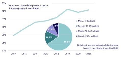 dimensione media